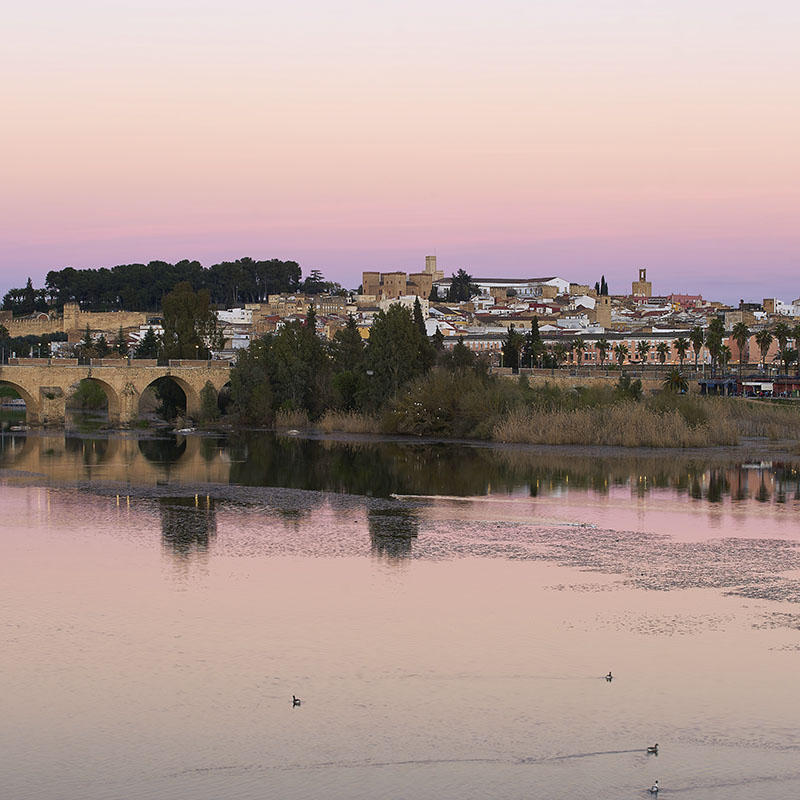 Buzoneo publicitario en Badajoz