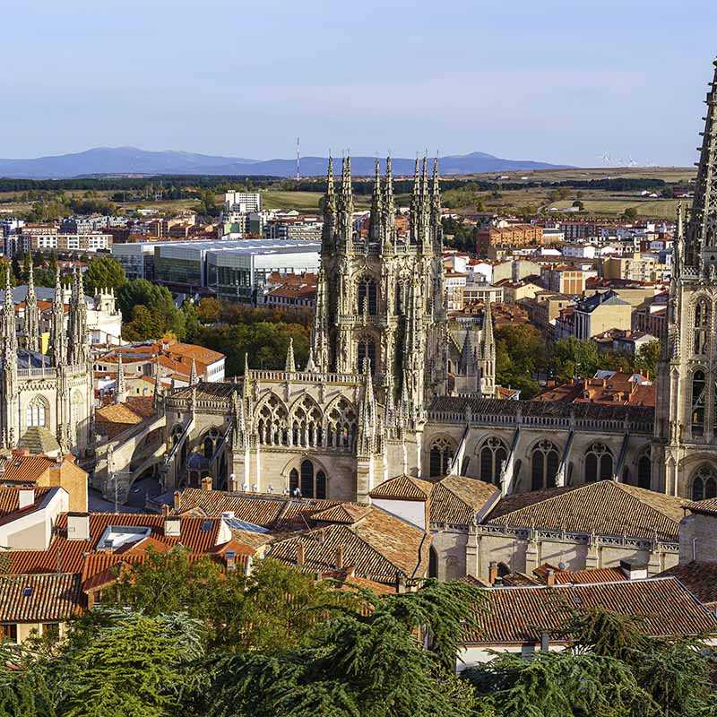Buzoneo publicitario en Burgos