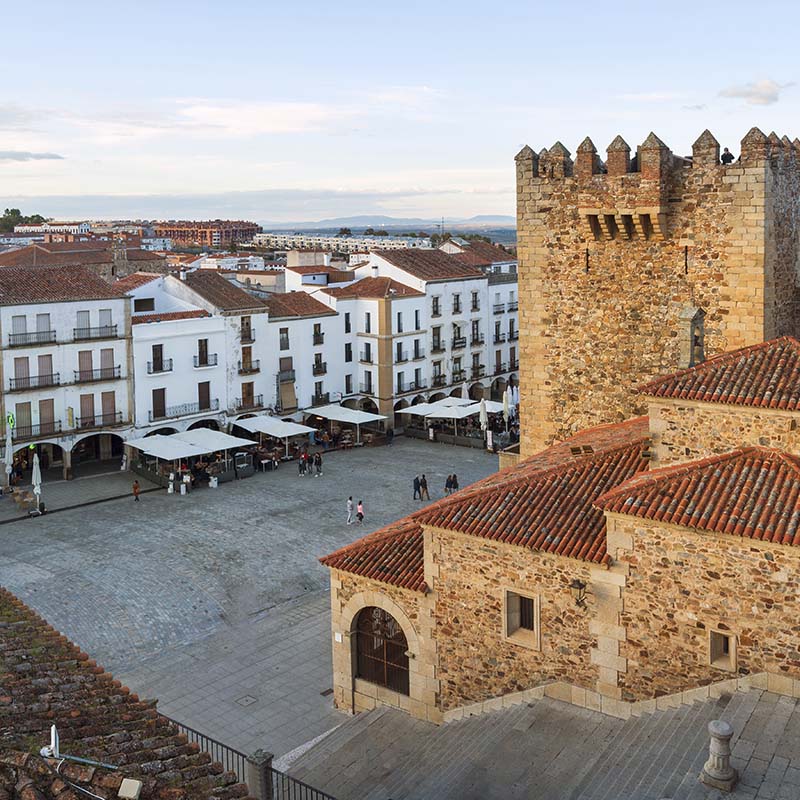 Buzoneo publicitario en Cáceres